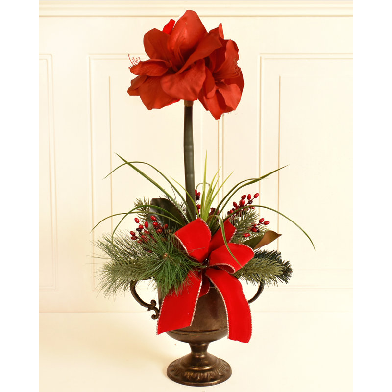 The Holiday Aisle Amaryllis Christmas Mixed Floral Arrangement Wayfair